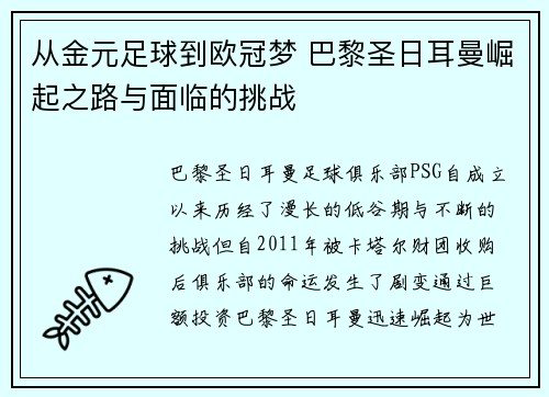 从金元足球到欧冠梦 巴黎圣日耳曼崛起之路与面临的挑战